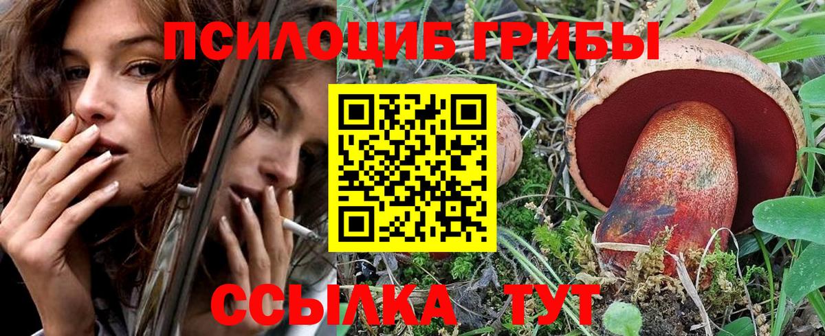 Псилоцибиновые грибы ЛСД  Галлюциногенные грибы Psilocybe  дарнет шоп  Вход с VPN  Мичуринск 